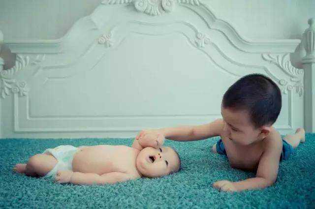 代怀取卵前能否食用桑葚？营养益处与注意事项解析