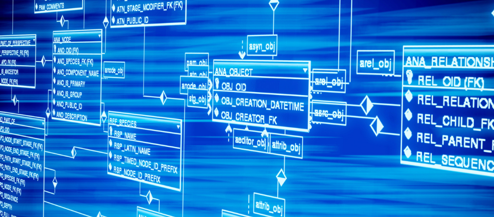 广东旭日婴孩网
